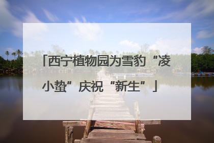 西宁植物园为雪豹“凌小蛰”庆祝“新生”