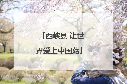 西峡县 让世界爱上中国菇