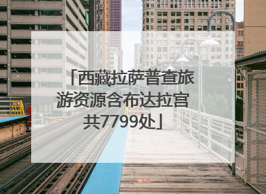 西藏拉萨普查旅游资源含布达拉宫共7799处