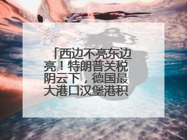 西边不亮东边亮！特朗普关税阴云下，德国最大港口汉堡港积极“向东看”