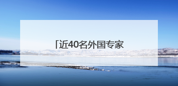 近40名外国专家学者聚浙江柯桥 共探国际创新合作
