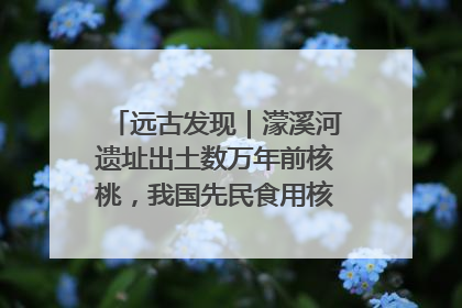 远古发现｜濛溪河遗址出土数万年前核桃，我国先民食用核桃历史大幅提前