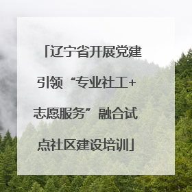 辽宁省开展党建引领“专业社工+志愿服务”融合试点社区建设培训