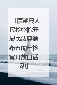 辰溪县人民检察院开展民法典颁布五周年检察开放日活动
