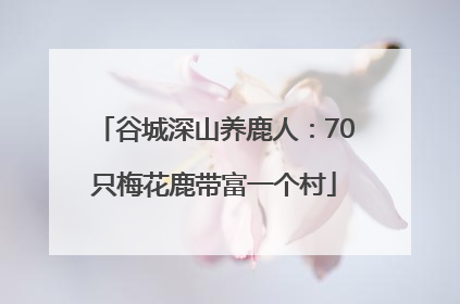 谷城深山养鹿人：70只梅花鹿带富一个村