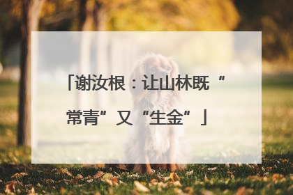 谢汝根：让山林既“常青”又“生金”