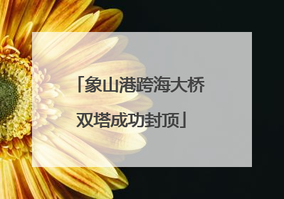 象山港跨海大桥双塔成功封顶