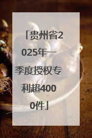 贵州省2025年一季度授权专利超4000件