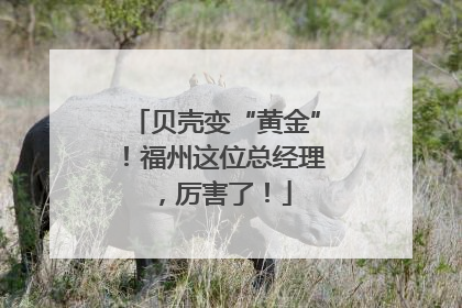 贝壳变“黄金”！福州这位总经理，厉害了！