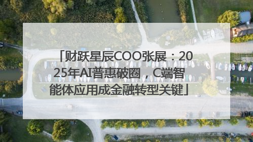 财跃星辰COO张展：2025年AI普惠破圈，C端智能体应用成金融转型关键