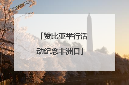 赞比亚举行活动纪念非洲日