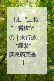 走“三北” 看攻坚①｜太行披“绿装” 连翘药茶香