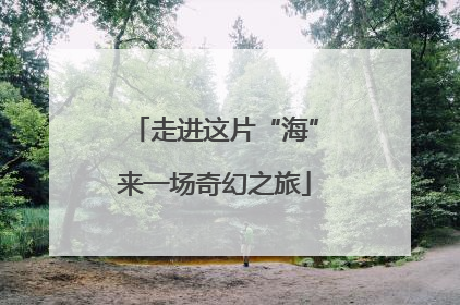 走进这片“海”来一场奇幻之旅