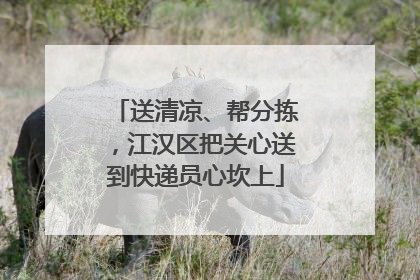 送清凉、帮分拣，江汉区把关心送到快递员心坎上
