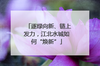 逐绿向新、链上发力，江北水城如何“焕新”