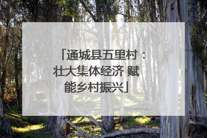 通城县五里村：壮大集体经济 赋能乡村振兴