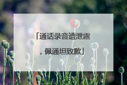 通话录音遭泄露，佩通坦致歉