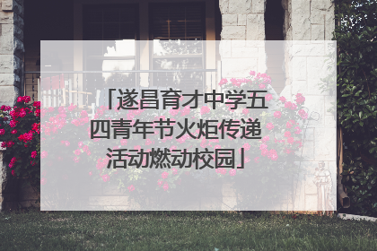 遂昌育才中学五四青年节火炬传递活动燃动校园