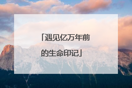 遇见亿万年前的生命印记