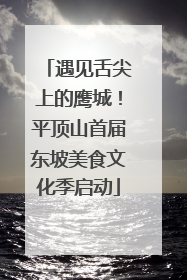 遇见舌尖上的鹰城！平顶山首届东坡美食文化季启动