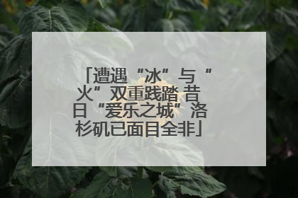 遭遇“冰”与“火”双重践踏 昔日“爱乐之城”洛杉矶已面目全非