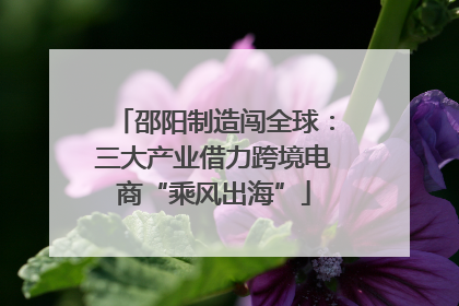 邵阳制造闯全球：三大产业借力跨境电商“乘风出海”
