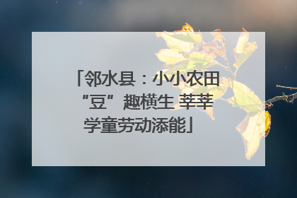 邻水县：小小农田“豆”趣横生 莘莘学童劳动添能