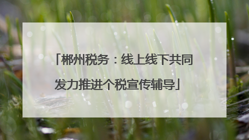 郴州税务：线上线下共同发力推进个税宣传辅导