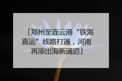 郑州至连云港“铁海直运”线路打通，河南再添出海新通道