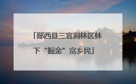 郧西县三官洞林区林下“掘金”富乡民