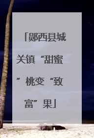 郧西县城关镇“甜蜜”桃变“致富”果