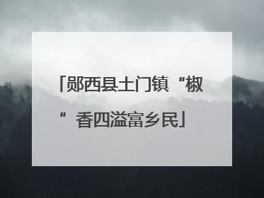 郧西县土门镇“椒”香四溢富乡民
