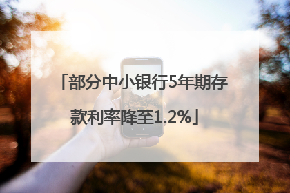 部分中小银行5年期存款利率降至1.2%