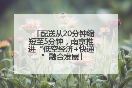 配送从20分钟缩短至5分钟，南京推进“低空经济+快递”融合发展