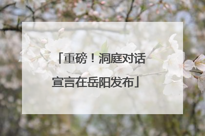 重磅！洞庭对话宣言在岳阳发布