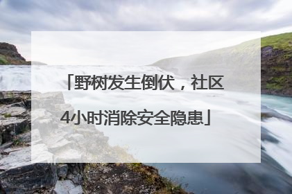 野树发生倒伏，社区4小时消除安全隐患