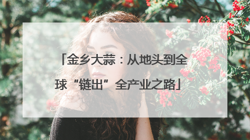 金乡大蒜：从地头到全球“链出”全产业之路