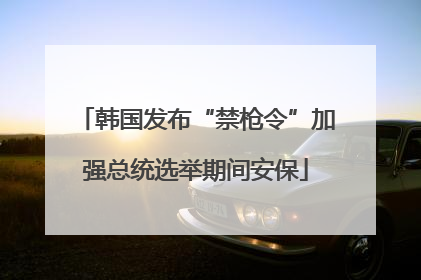 韩国发布“禁枪令”加强总统选举期间安保