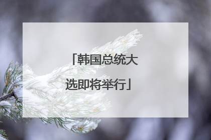 韩国总统大选即将举行