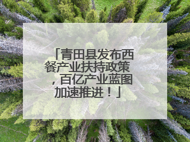 青田县发布西餐产业扶持政策，百亿产业蓝图加速推进！