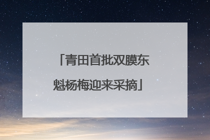 青田首批双膜东魁杨梅迎来采摘