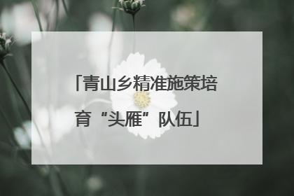 青山乡精准施策培育“头雁”队伍