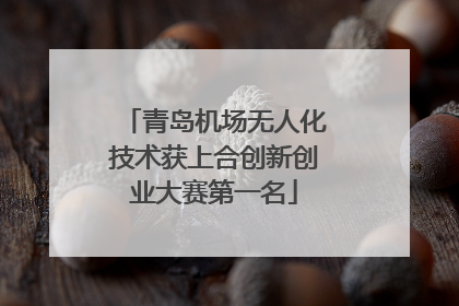 青岛机场无人化技术获上合创新创业大赛第一名