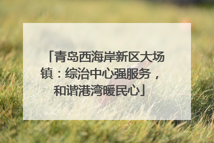 青岛西海岸新区大场镇：综治中心强服务，和谐港湾暖民心
