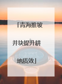 青海推坡并块提升耕地质效