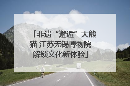 非遗“邂逅”大熊猫 江苏无锡博物院解锁文化新体验