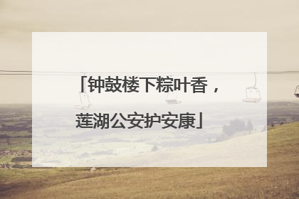 钟鼓楼下粽叶香，莲湖公安护安康