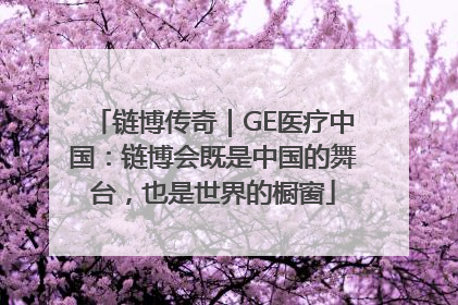 链博传奇｜GE医疗中国：链博会既是中国的舞台，也是世界的橱窗