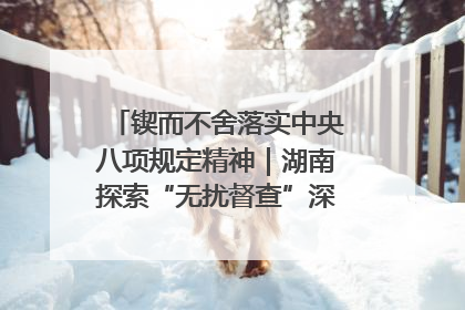 锲而不舍落实中央八项规定精神｜湖南探索“无扰督查”深化基层减负