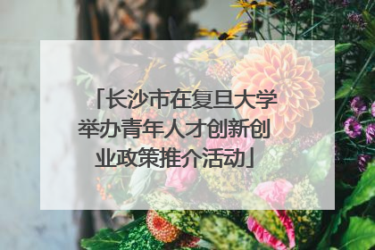 长沙市在复旦大学举办青年人才创新创业政策推介活动